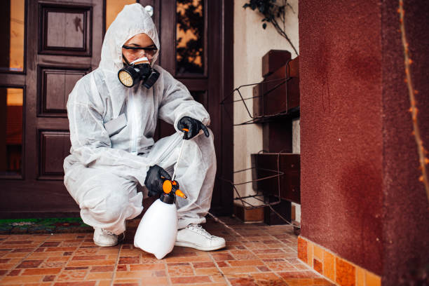 Reliable Cockroach Control contractor in Pottsville, AR by Nex Pest Control