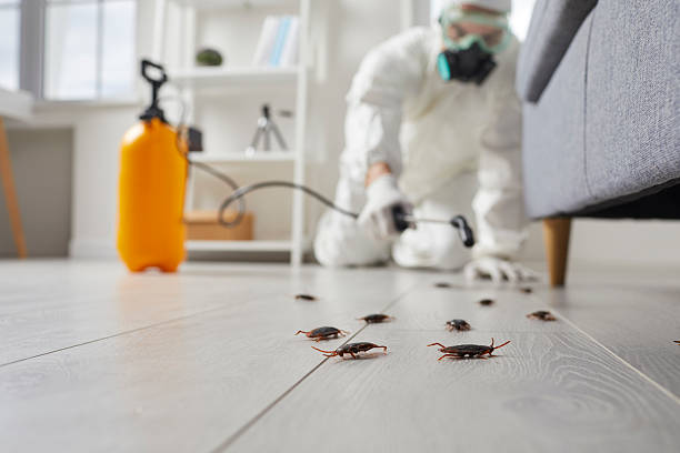 Trusted Fumigation Services service in Pottsville, AR - Nex Pest Control