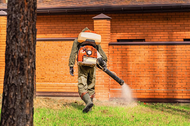 Trusted Ant Control service in Pottsville, AR - Nex Pest Control